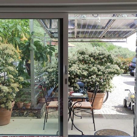 דירות קיאברי La Casa Negli Ulivi מראה חיצוני תמונה